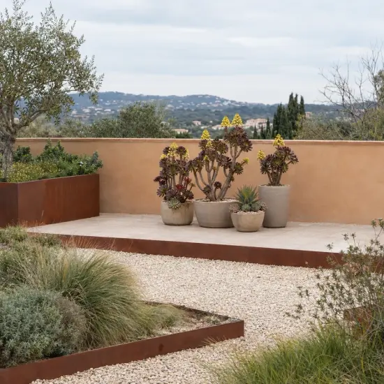 Aéonium pourpre 'Purpureum' (Aeonium arboreum) — succulentes en pots sur terrasse minérale
