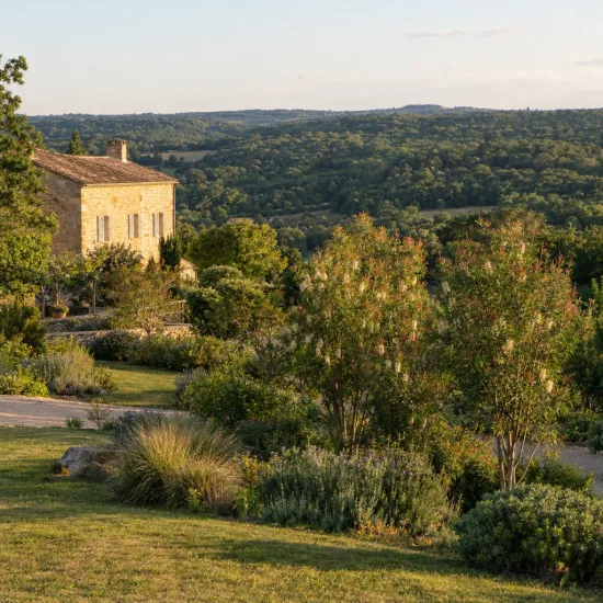 Rince-bouteilles (Callistemon salignus) — massif d’arbustes devant une maison en pierre · Photo d'illustration