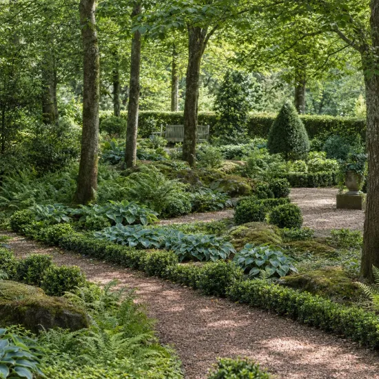 Fusain du japon 'Jean hugues' (Euonymus japonicus) — allée sinueuse bordée de petites haies taillées · Photo d'illustration