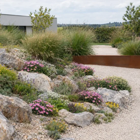 Aster 'Happy end' (Aster alpinus) — massif de vivaces fleuries dans rocaille moderne · Photo d'illustration