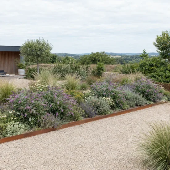 Arbre aux papillons 'Sophie' (Buddleia davidii) — massif arbustif fleuri dans jardin minéral contemporain · Photo d'illustration