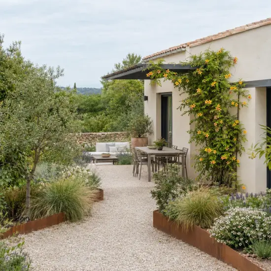 Bignonne 'Summer jazz tm gold trumpet creeper' (Campsis) — grimpante fleurie le long d'une maison moderne