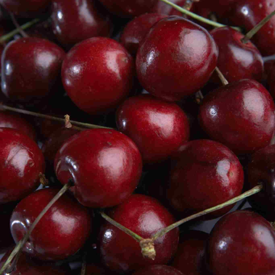 Cerisier 'Hedelfingen'