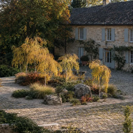 Bouleau verruqueux 'Karaca' (Betula pendula) — petits arbres graciles au feuillage doré devant maison · Photo d'illustration