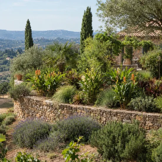 Gingembre ornemental (Hedychium poupre) — massif fleuri en terrasse devant maison en pierre · Photo d'illustration