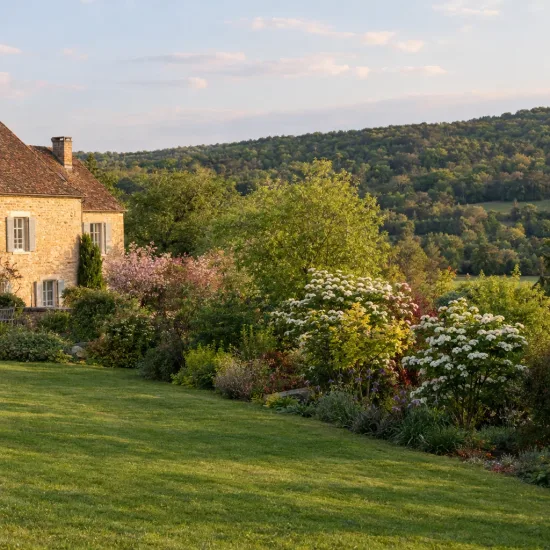 Viorne de chine 'Pop corn' (Viburnum plicatum) — massif d’arbustes fleuris devant maison en pierre · Photo d'illustration
