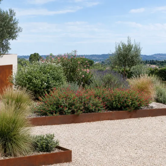 Sauge de graham 'Lemonei' (Salvia microphylla) — massif arbustif fleuri dans jardin méditerranéen · Photo d'illustration