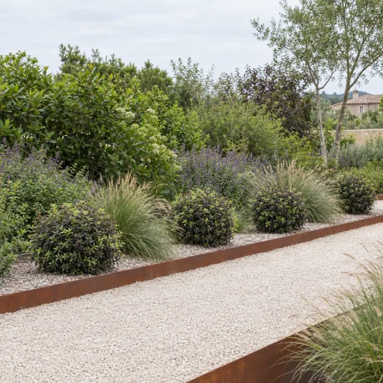 Pittospore 'Tom thumb' (Pittosporum tenuifolium) — massif contemporain avec allée gravillonnée et arbustes ronds · Photo d'illustration