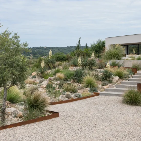 Résistant au sec (Yucca constricta) — massif sec paysagé avec vivaces et graviers · Photo d'illustration