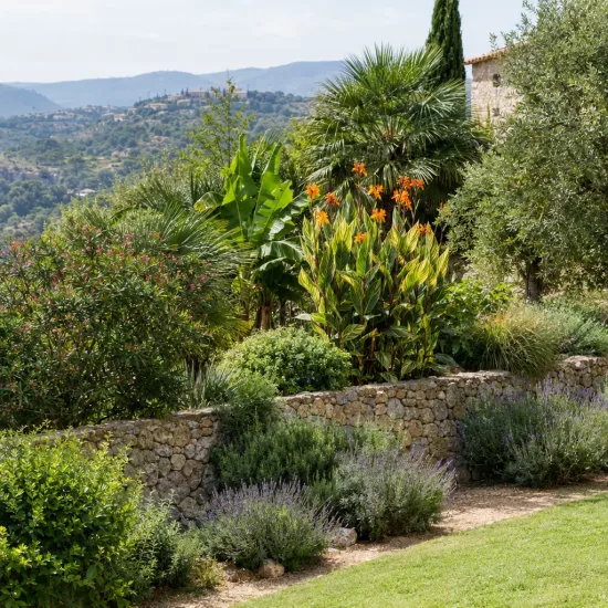 Canna — massif luxuriant en terrasse avec fleurs orangées · Photo d'illustration