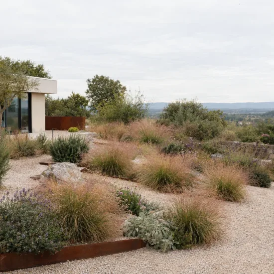 Eragrostis 'Pure love grass' (Eragrostis trichodes) — touffes d’herbes ornementales dans un jardin sec · Photo d'illustration