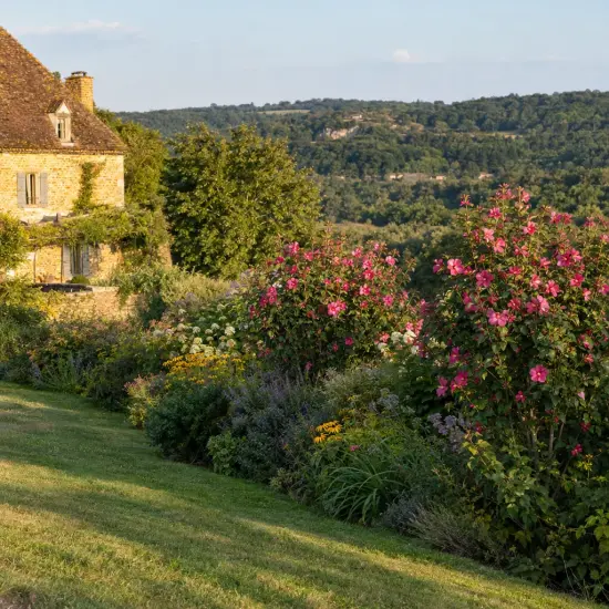 Althéa 'Pompei minsygrou02' (Hibiscus syriacus) — massif fleuri devant maison en pierre, paysage