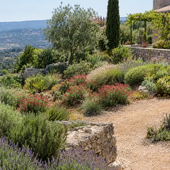 Achillée millefeuille 'Milly rock red' (Achillea millefolium) — massif méditerranéen en terrasse avec arbustes et vivaces