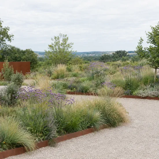 Verveine de buenos-aires 'Blue violet' (Verbena bonariensis) — massif de vivaces et graminées le long d’allée · Photo d'illustration