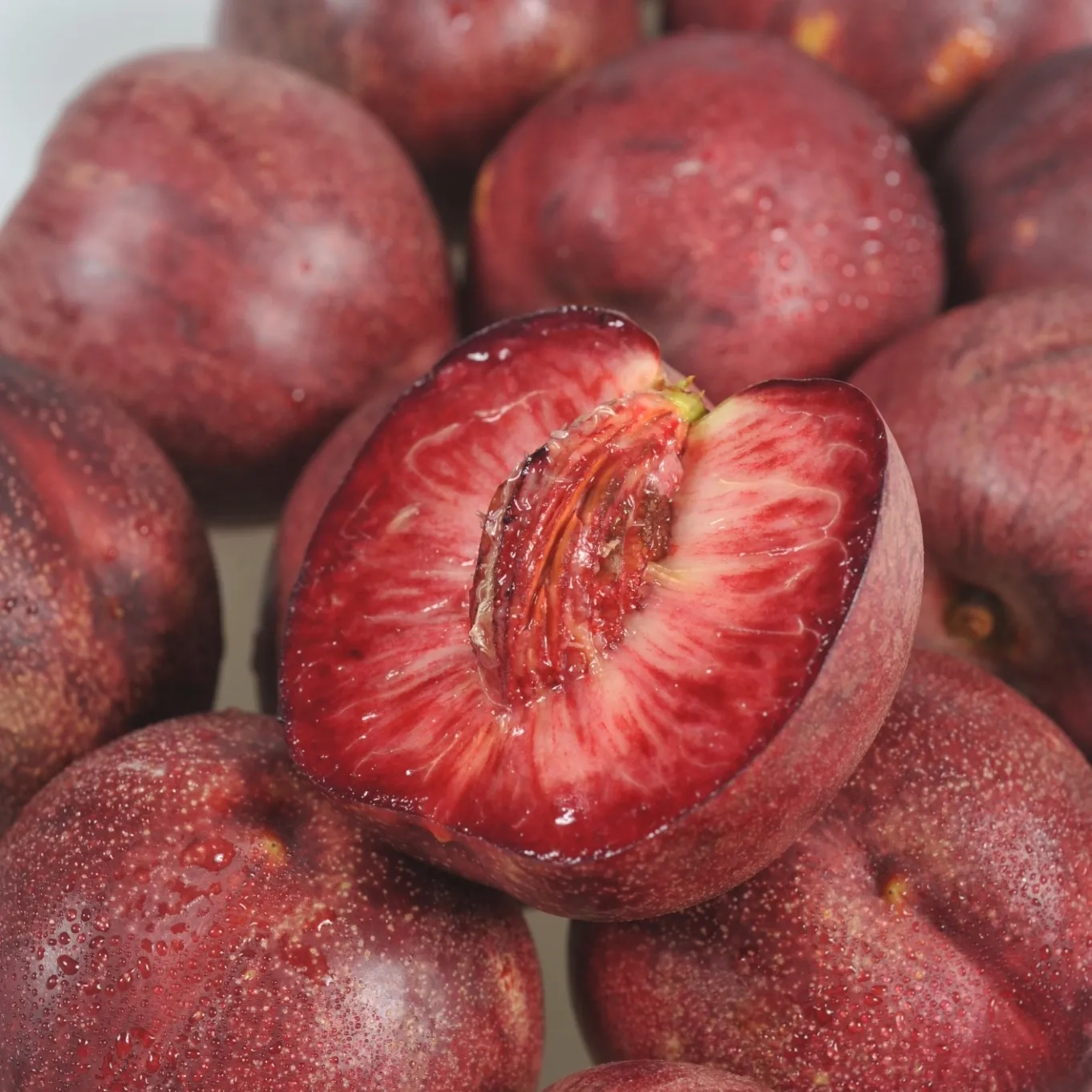 Nectarinier 'Sanguine d auvergne'
