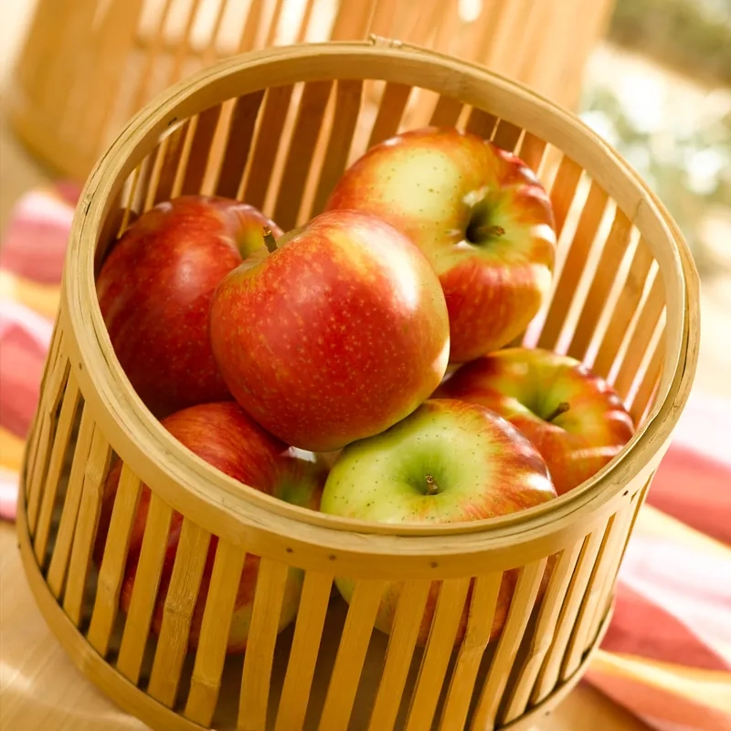 Pommier 'Delbard Jubile'