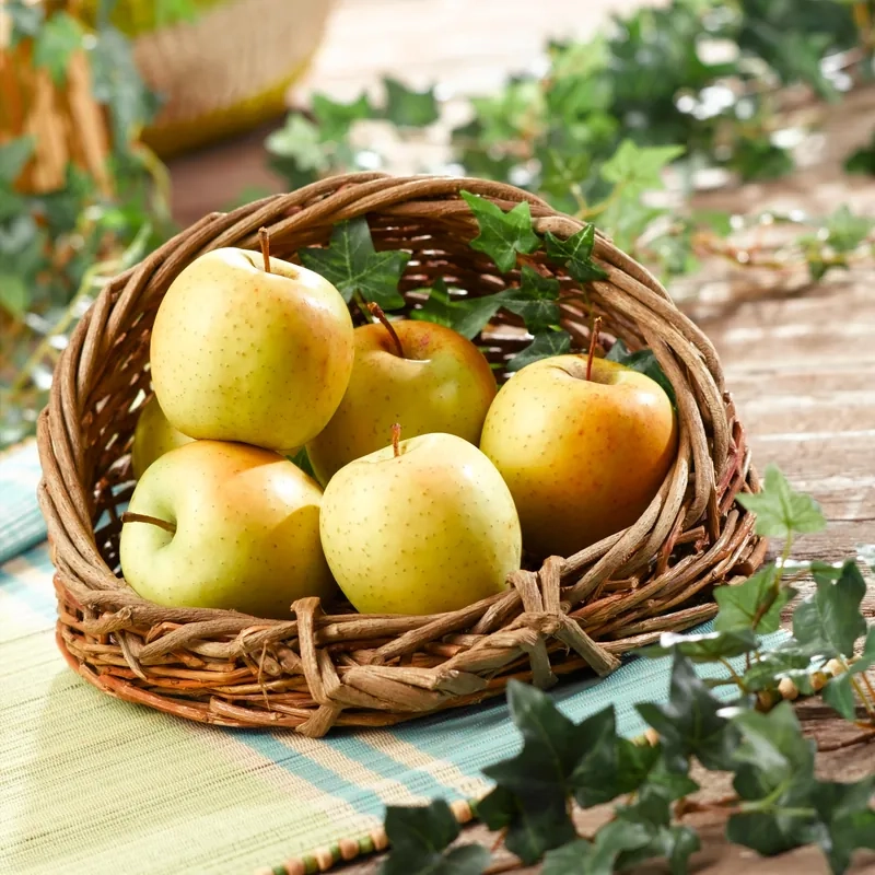 Pommier  'Tentation'