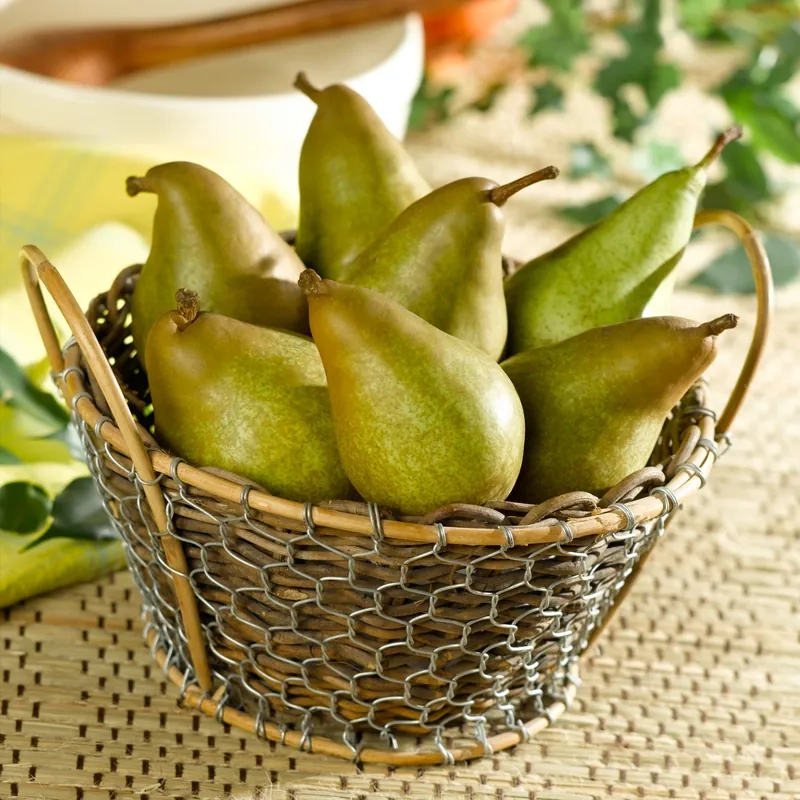 Poirier 'Delbard gourmande'