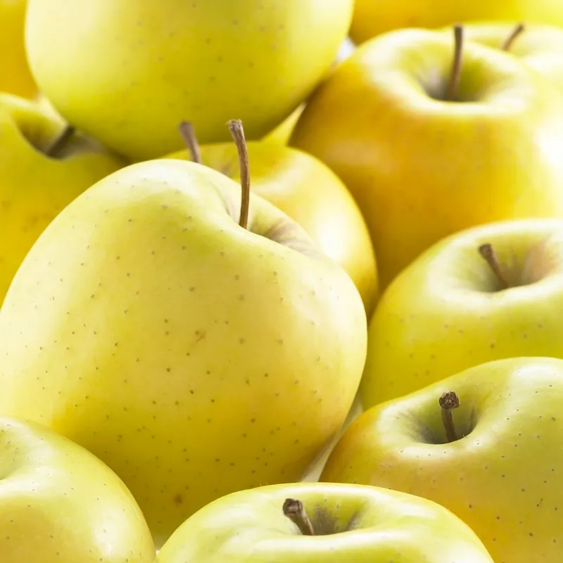 Pommier golden delicious