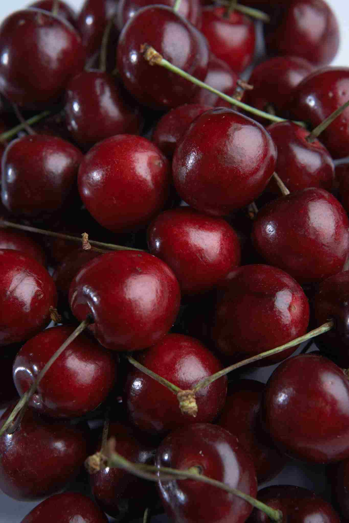 Cerisier 'Hedelfingen'