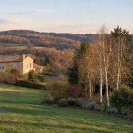 Bouleau de l'himalaya 'Doorenbos' (Betula utilis) — alignement de jeunes arbres près d'une maison en pierre · Photo d'illustration