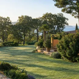 Podocarpe montagnard (Podocarpus nerifolia) — grand jardin arboré avec pelouse et terrasse · Photo d'illustration