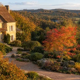 Érable du japon 'Scolopendrifolium' (Acer palmatum) — arbre aux feuilles colorées dans grand jardin paysager · Photo d'illustration