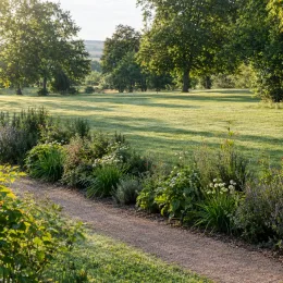Ciboule chinoise (Allium tuberosum) — allée de gravier bordée de massifs fleuris