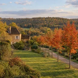 Sorbier des oiseleurs 'Dodong' (Sorbus aucuparia) — allée d'arbres au feuillage orangé devant maison