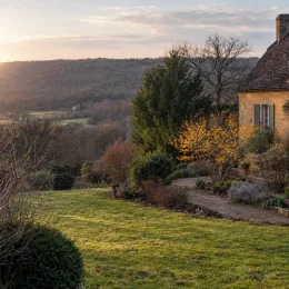 Hamamélis de chine 'Orange beauty' (Hamamelis mollis) — jardin de campagne au coucher du soleil · Photo d'illustration