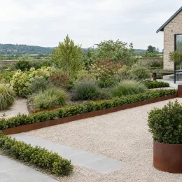 Fusain du japon pulchellus ou fusain microphylle (Euonymus pulchellus) — massif de jardin contemporain avec bordures arbustives basses