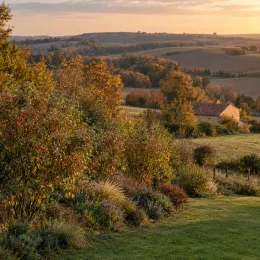 Chalef d'automne à baies rouges 'Sweet'n'sour' (Eleagnus umbellata) — massif arbustif coloré au bord d’un grand jardin · Photo d'illustration