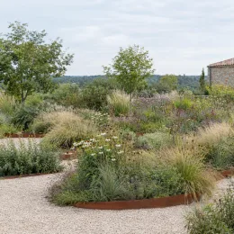 Échinacée 'Alba' (Echinacea purpurea) — massif naturaliste avec vivaces et graminées dans un jardin · Photo d'illustration