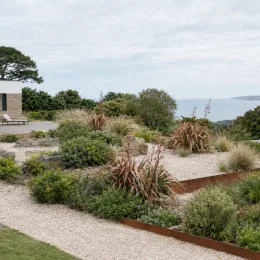 Lin de nouvelle-zélande 'Rainbow maiden' (Phormium tenax) — massif de graminées et arbustes en jardin côtier