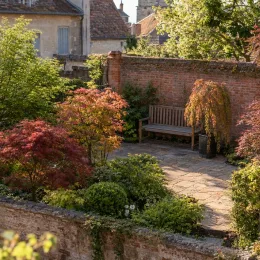 Érable du japon 'Cascade emerald' (Acer palmatum) — petit jardin clos avec érables colorés