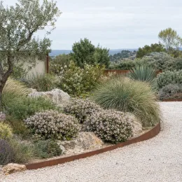 Plante du pêcheur 'Pink foutain' (Diosma hirsuta) — massif de graviers avec arbustes fleuris et rochers · Photo d'illustration