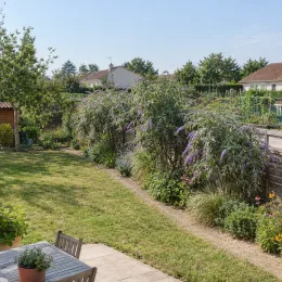 Arbre aux papillons de lindley (Buddleia lindleyana) — massif d'arbustes fleuris le long d'un jardin · Photo d'illustration