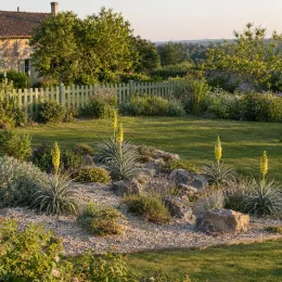 Puya jaune (Puya yakespala) — massif rocailleux avec touffes à hampes florales jaunes · Photo d'illustration