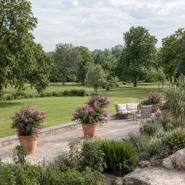 Lilas des indes 'Mardi gras' (Lagerstroemia indica) — grands arbustes fleuris en pot sur terrasse