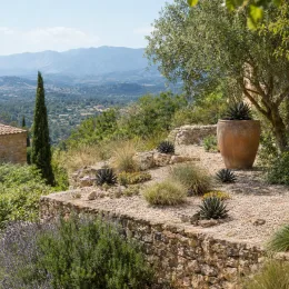Intérieur et extérieur 'Black widow' (Agave filifera subsp. schidigera) — massif de graviers avec agaves et vue lointaine · Photo d'illustration
