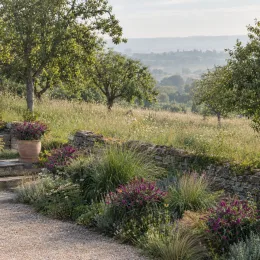 Buddleia 'Butterfly candy little magenta' (Buddleja davidii) — massif fleuri le long d'un muret en pierre