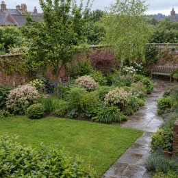 Weigelia 'Nana variegata' (Weigela floribunda) — massif d’arbustes fleuris le long d’une allée pavée