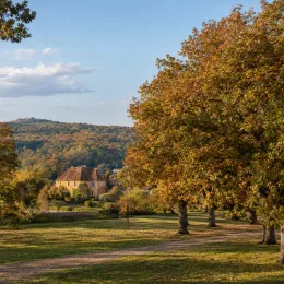 Chêne (Quercus) — grands arbres au feuillage doré près d’une maison · Photo d'illustration
