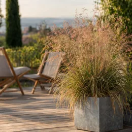 Eragrostis 'Pure love grass' (Eragrostis trichodes) — grand graminée vaporeuse en pot sur terrasse · Photo d'illustration
