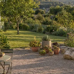 Succulente 'Surreal diamond' (Semponium) — pots de succulentes sur terrasse gravillonnée au jardin · Photo d'illustration