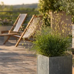 Briza (Briza media) — touffe de graminée en pot sur terrasse · Photo d'illustration