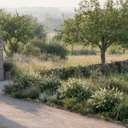 Arbre aux papillons 'White chip' (Buddleia davidii) — massif de fleurs blanches le long d’une allée · Photo d'illustration