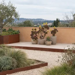 Aéonium pourpre 'Purpureum' (Aeonium arboreum) — succulentes en pots sur terrasse minérale