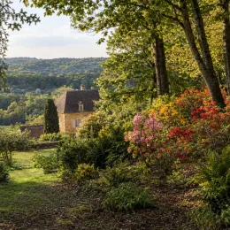 Azalée de chine (Azalea mollis) — massif arbustif fleuri devant maison de campagne