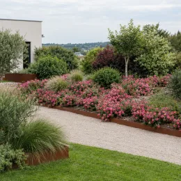 Rosier 'Mirato' (Rosa hybrida) — massifs de fleurs roses bordant une allée gravillonnée · Photo d'illustration